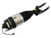 Air Suspension Strut