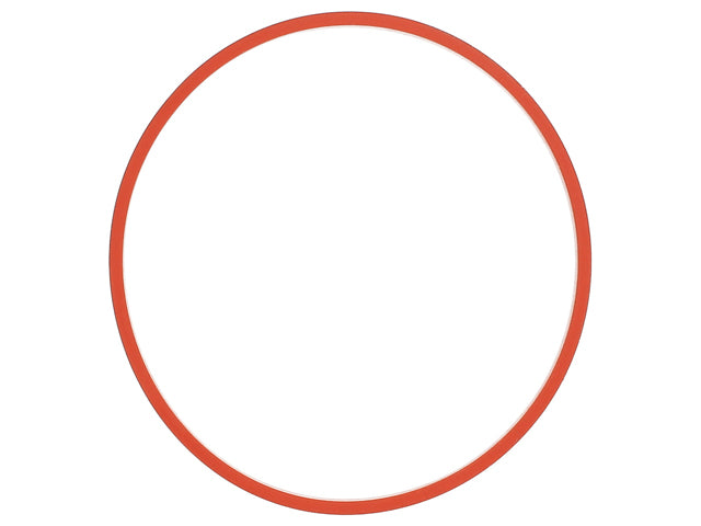 Throttle Housing Seal