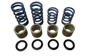 981/718 GT4 Spring Upgrade Kit