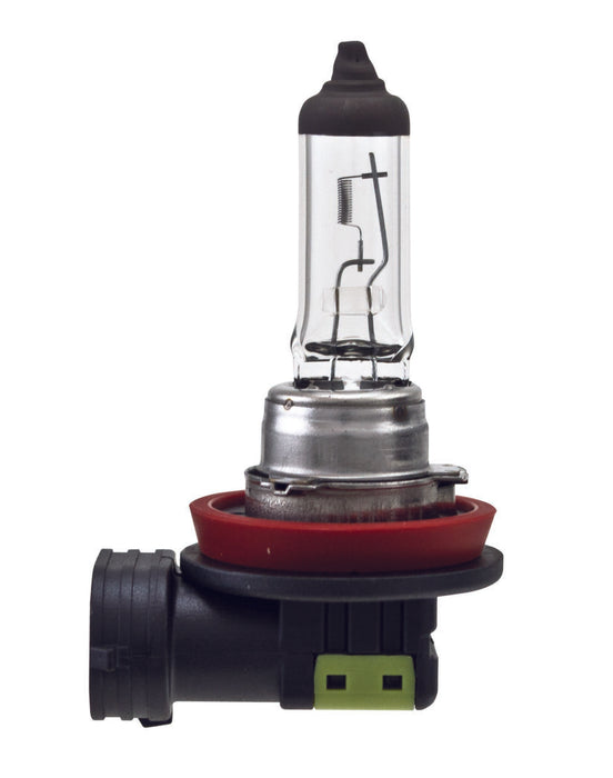 Hella Bulb H11