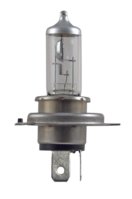 Audi Multi-Purpose Light Bulb Hella H4P50