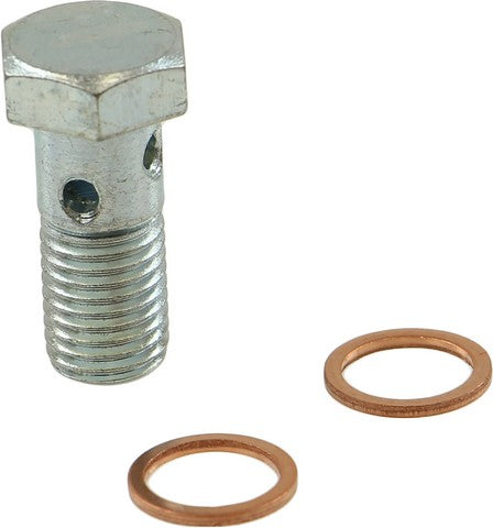 Rein Automotive Hollow Bolt Hwb0095