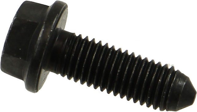 REIN AUTOMOTIVE Water Pump Bolt HWB1062