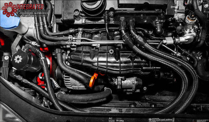 Integrated Engineering Recirculating Catch Can Kit for MK5/MK6 FSI Vehicles