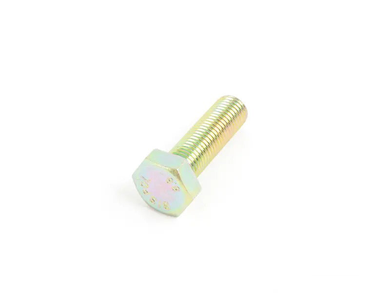 Caliper Mounting Bolt - Priced Each