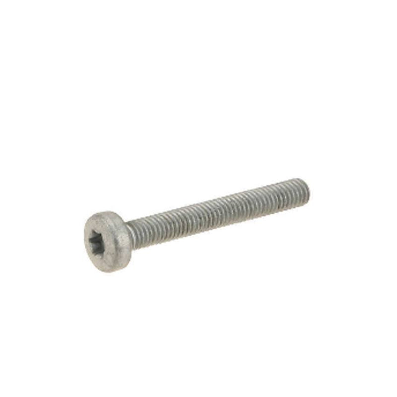 Allen Bolt (M6x45)