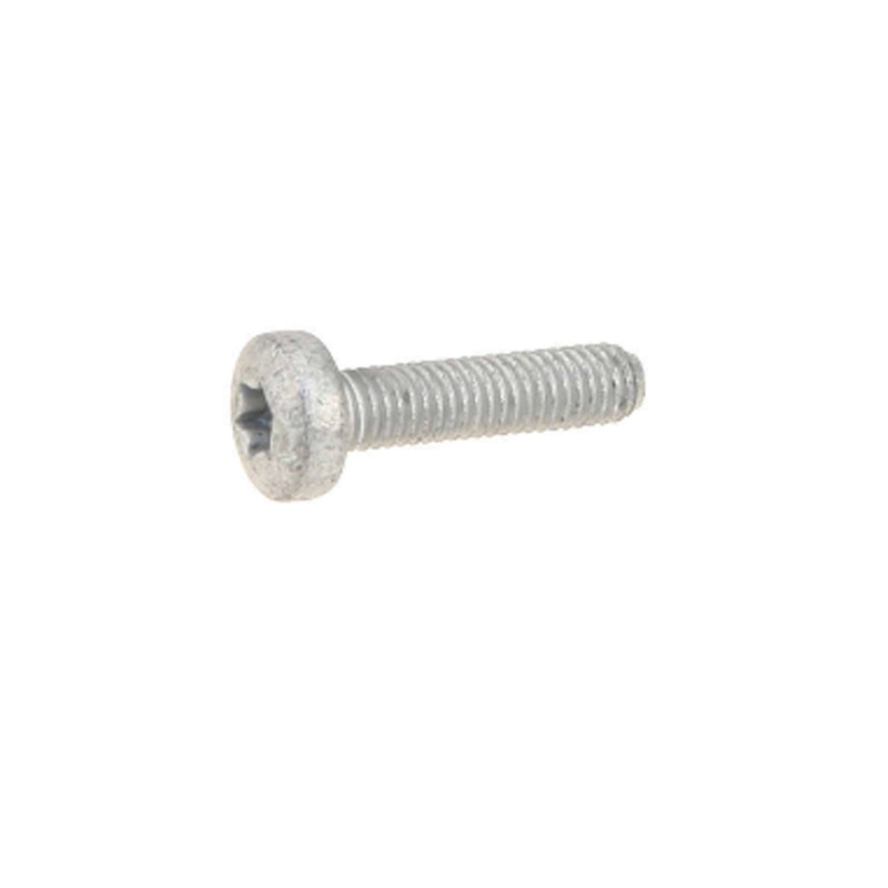 Torx Bolt (M6x25)