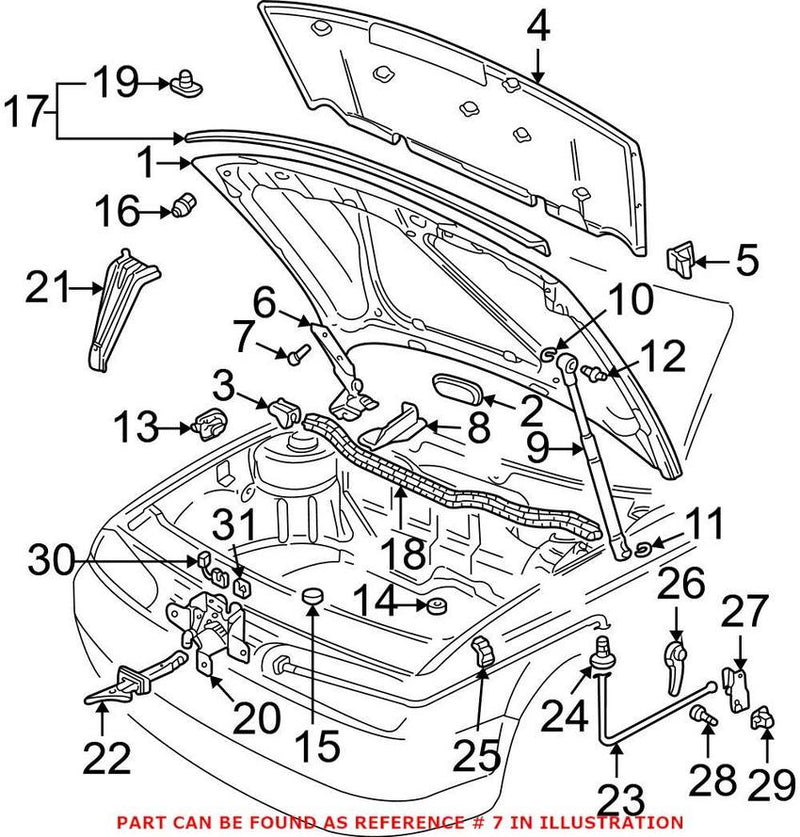 Stretch Bolt (8×37)