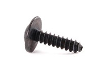 OEM Retaining Screw Torx Head - Priced Each