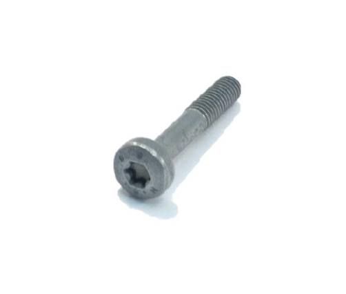 Round Head Screw