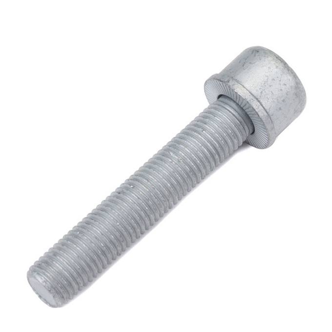 Disc Brake Caliper Carrier Bolt (M12x1.5×65)
