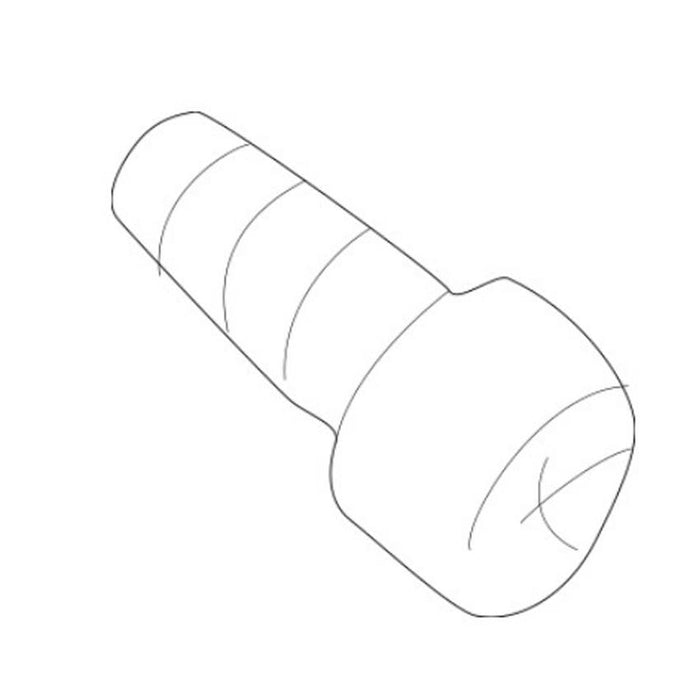 Allen Head Screw (M10x25)