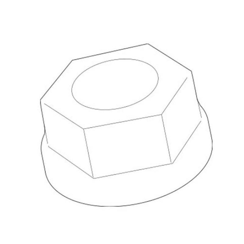 Hex Nut (M10)