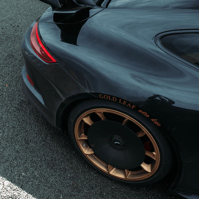 CARBON FIBER AERO DISCS for Porsche 911 GT3 (991.2) - ALU wheels