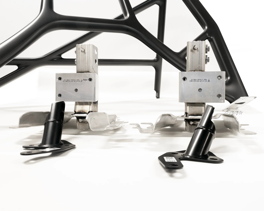 Manthey Racing Carbon Fiber Roll Bar - MT003211A