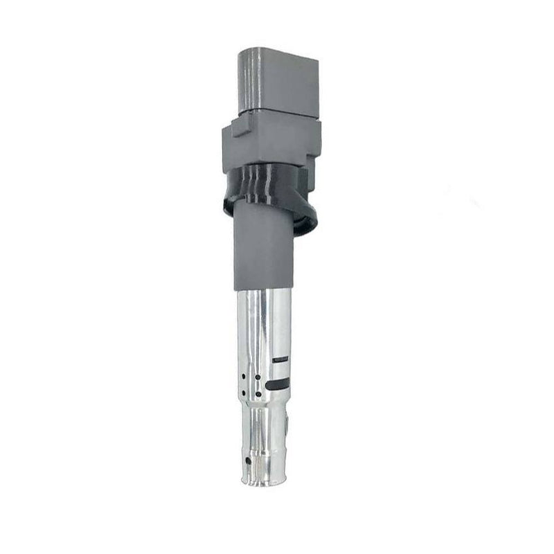 Eldor Ignition Coil R1001 S00200