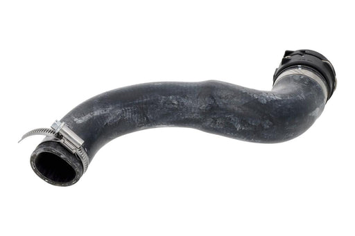 VAICO Radiator Hose - V20-2373