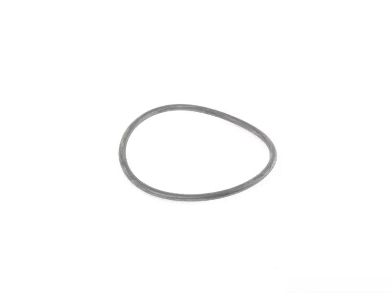 Sealing Ring