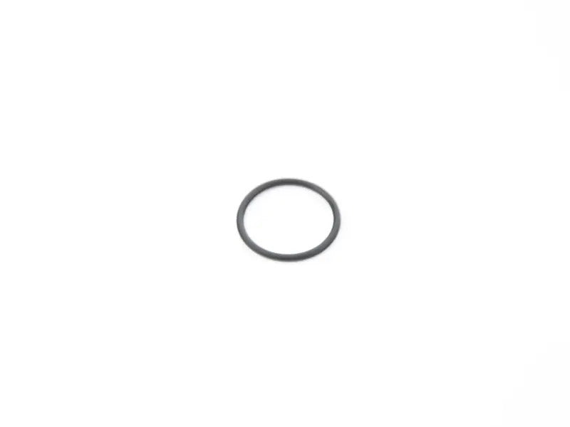Genuine Porsche O Ring Wht 002 543