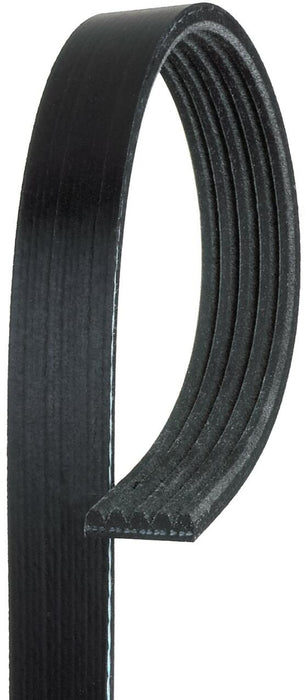 Audi Serpentine Belt K050429 – Gates