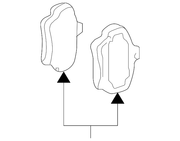 Genuine Porsche parts diagram