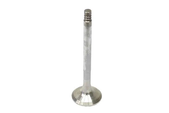 Ae Exhaust Valve V94273