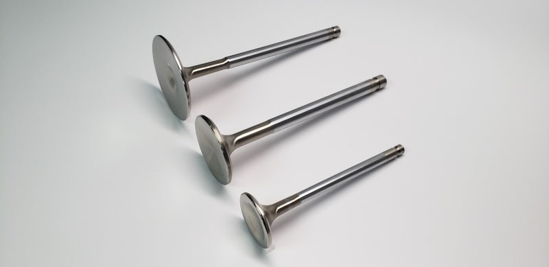 FERREA ferF2138P-1