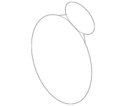 Genuine Porsche parts diagram