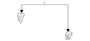 Genuine Porsche parts diagram