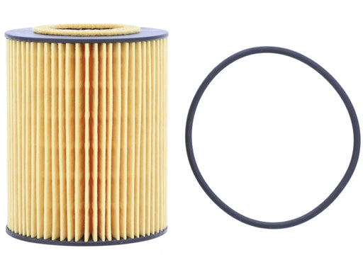 HENGST Oil Filter Kit - E106H D171