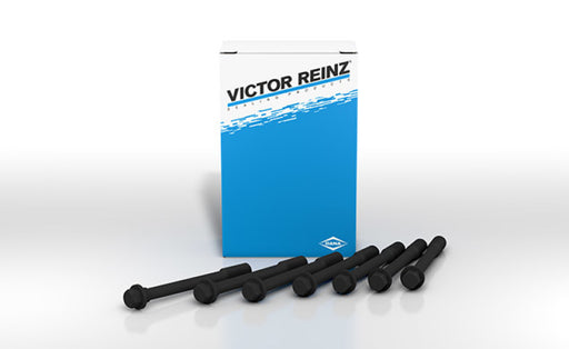 VICTOR REINZ GS33520