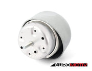 Engine Mount - Right