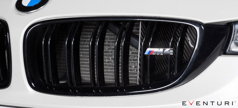 Eventuri BMW F8X M3 / M4 Black Carbon Air Scoop Set | EVE-F8XM-SC