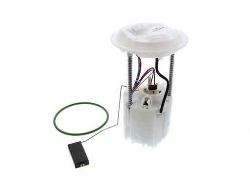 DELPHI Fuel Pump Assembly - FG1163