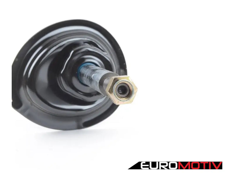 Front Strut Assembly - Pair