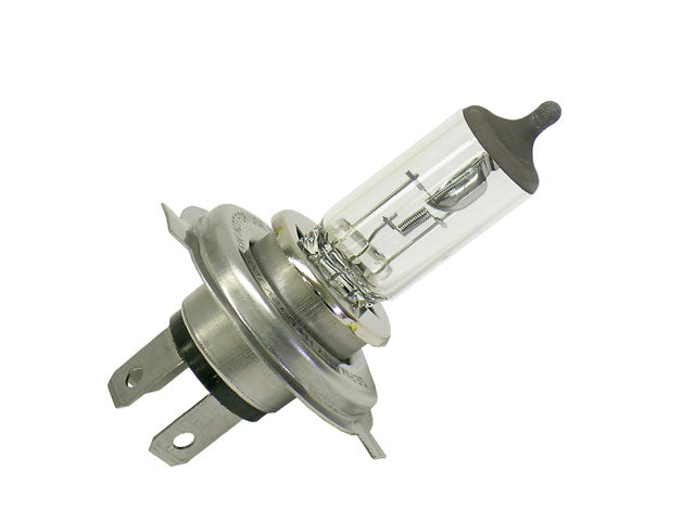 HELLA Bulb - H4 100/55W