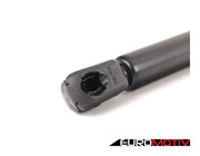 Hood And Hatch Strut Kit