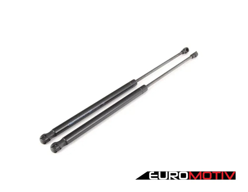 Hood And Hatch Strut Kit