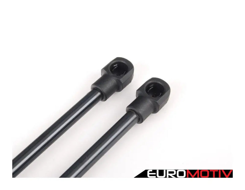 Hood And Trunk Strut Kit