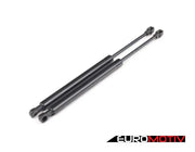 Hood And Trunk Strut Kit