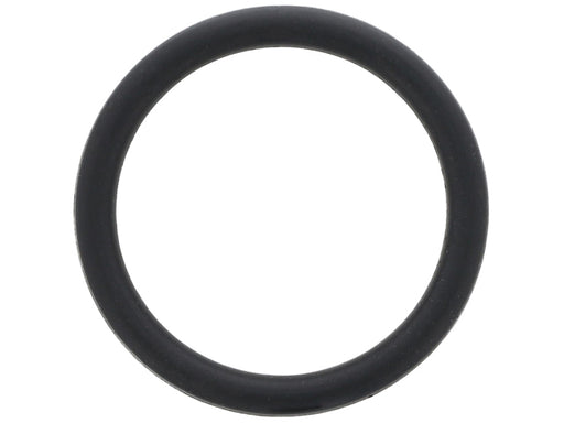 BBR AUTOMOTIVE Water Pipe Seal - 001-10-16511