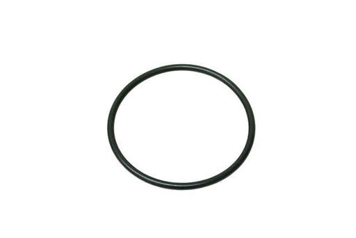 VDO Throttle Housing O-Ring - A2C59516938