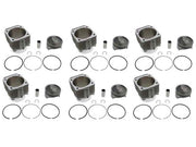MAHLE-MOTORSPORTS Piston and Cylinder Set - PS102-022