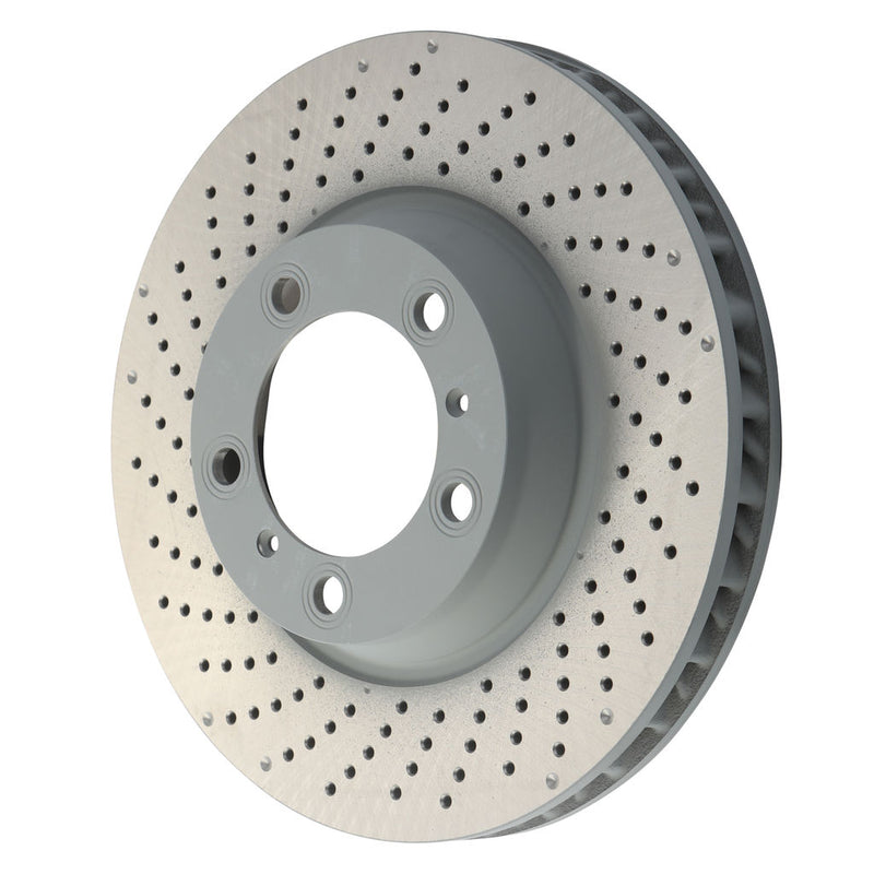 Shw Performance Brake Disc Pfl39981