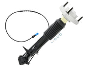 ARNOTT INDUSTRIES Shock Absorber - SK-3816