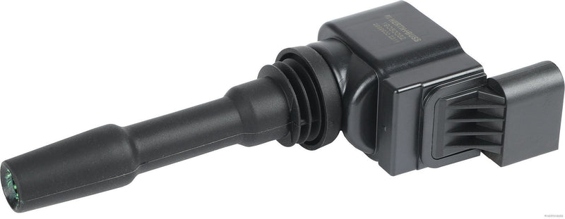 ELDOR Ignition Coil - R1701C00300