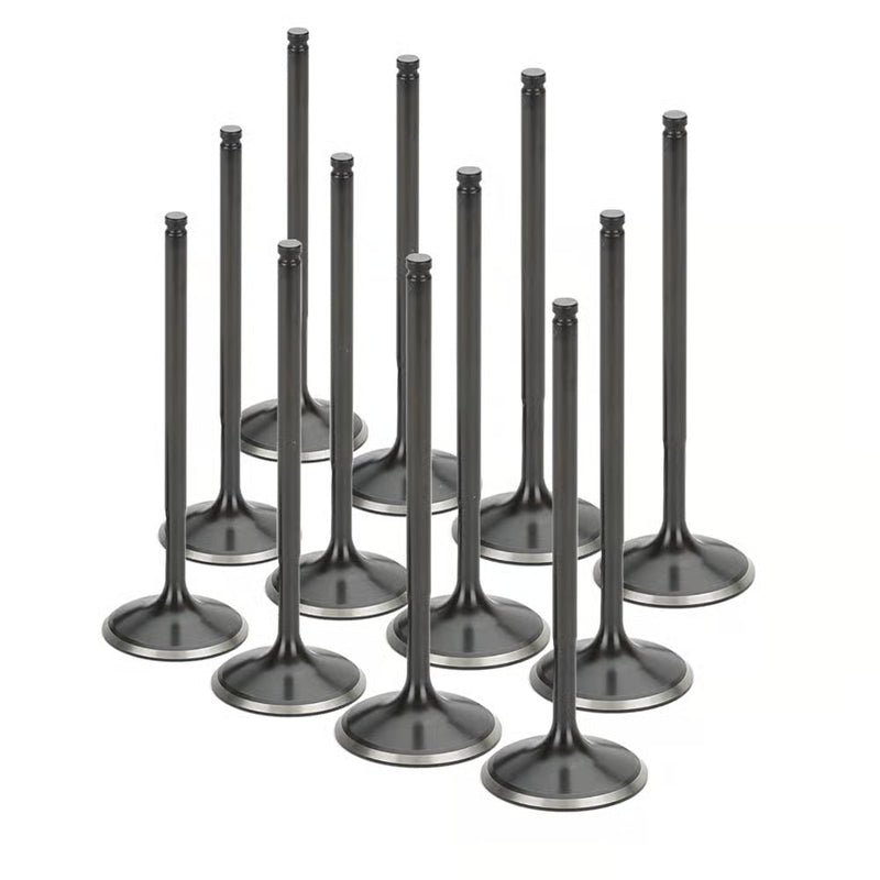 Stainless Steel Black Nitride Intake Valves for a BMW N54 Turbo